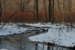 Tohickon Head Waters in the snow