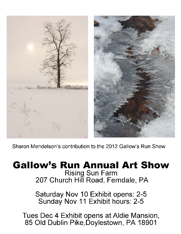 Gallow's Run Show 2012-1