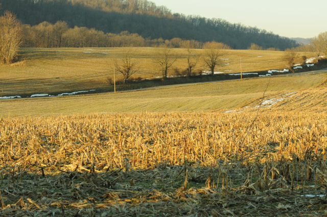 Corn Stubble and Old Snow-1