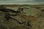 after-sandy-1
