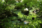 Reflection Pool Upper Tohickon