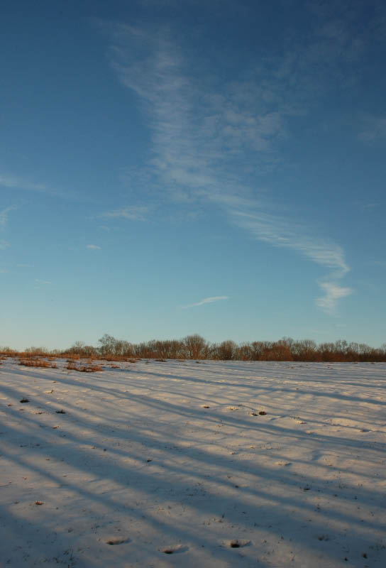 2009 Long Long Shadows