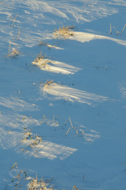 Shadows and Flight