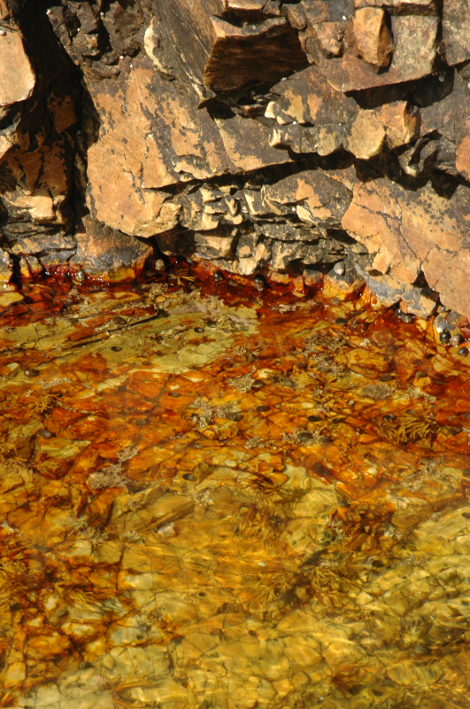 above and below the tide line