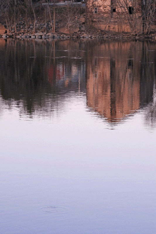 mill on the river with fish