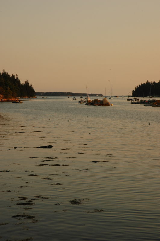 northeast harbor dusk