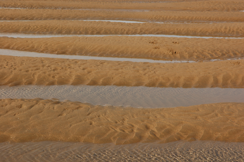 ripples and shallows