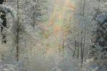 2013 Light Stream over Ice-