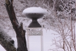 Bird Bath in Ice