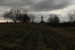 Dark Sky and Field