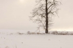 Nockamixon Winter Sun