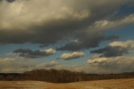 Snow Geese in a Sotter Sky