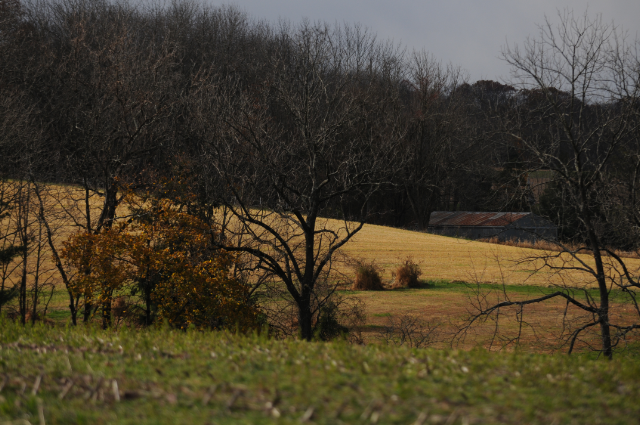 windy november day